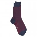MI-CHAUSSETTE FIL D'ECOSSE