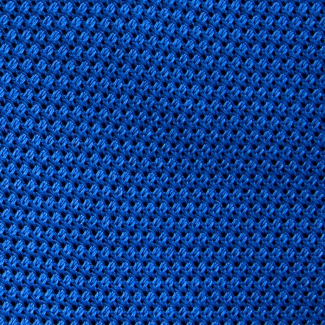 ETAMINE BLEU ROI