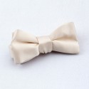 Nœud Papillon satin de soie gris
